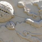 Descoperă Cum Brain Mapping Îți Poate Optimiza Creierul